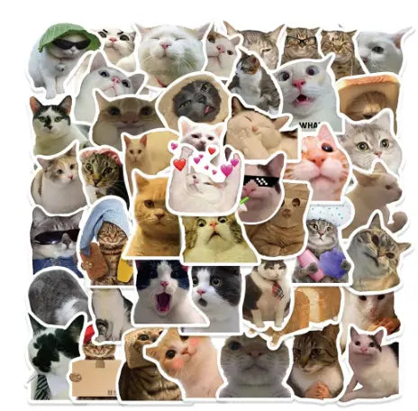 50 Pieces of Fun Cat Meme Stickers